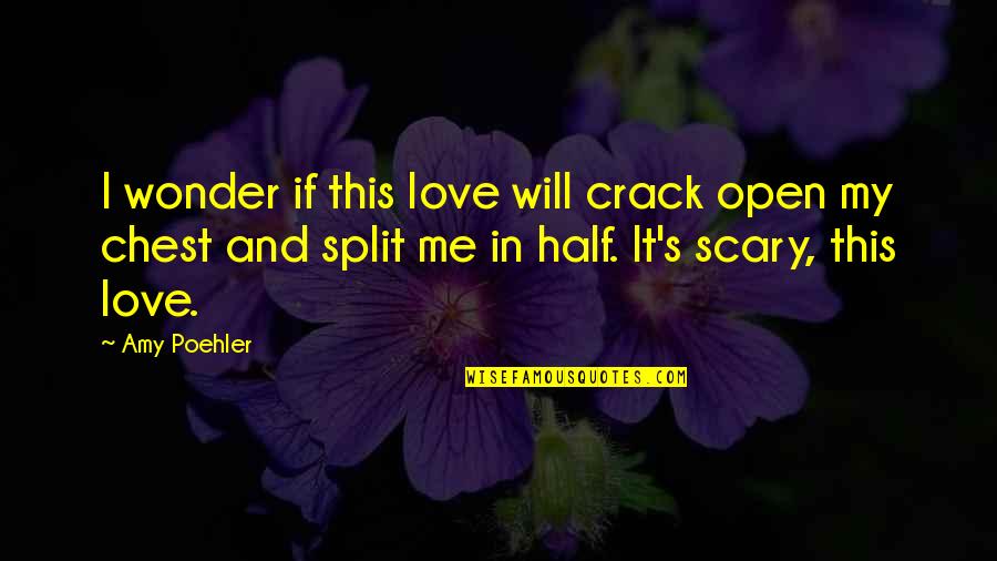 The Other Half Of Me Quotes By Amy Poehler: I wonder if this love will crack open