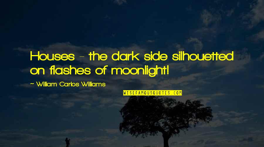 The Other Side Of Dark Quotes By William Carlos Williams: Houses - the dark side silhouetted on flashes