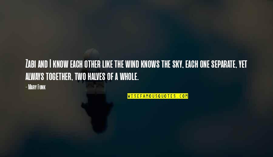 The Other Wind Quotes By Mary Funk: Zabi and I know each other like the
