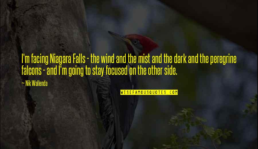 The Other Wind Quotes By Nik Wallenda: I'm facing Niagara Falls - the wind and