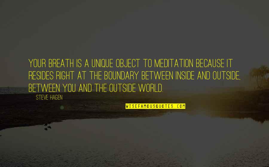 The Outside World Quotes By Steve Hagen: Your breath is a unique object to meditation The Outside World Quotes By Steve Hagen: Your breath is a unique object to meditation