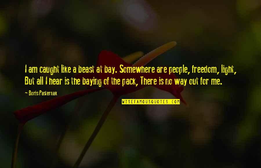 The Pack Quotes By Boris Pasternak: I am caught like a beast at bay. The Pack Quotes By Boris Pasternak: I am caught like a beast at bay.