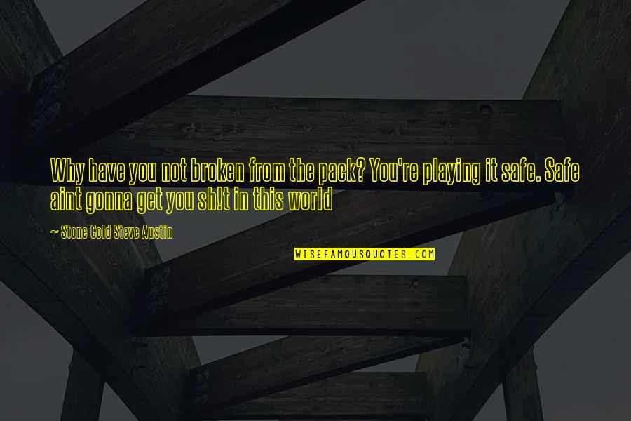 The Pack Quotes By Stone Cold Steve Austin: Why have you not broken from the pack? The Pack Quotes By Stone Cold Steve Austin: Why have you not broken from the pack?