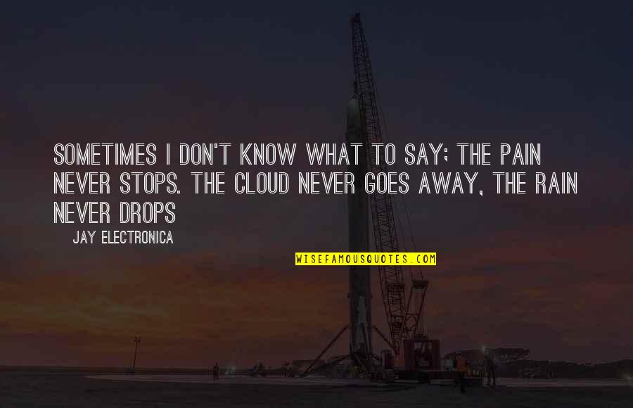 The Pain Never Stops Quotes By Jay Electronica: Sometimes I don't know what to say; the