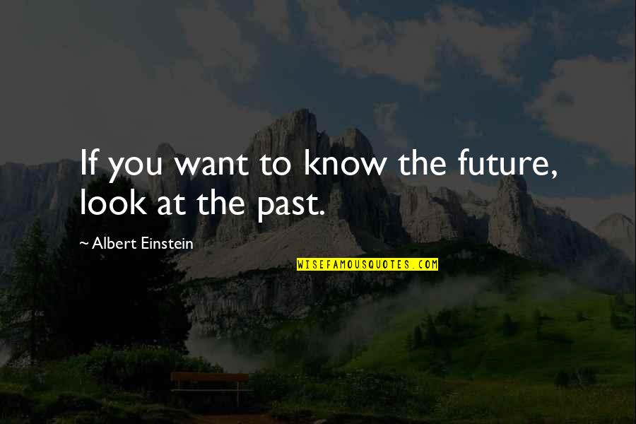 The Pain Of Losing A Parent Quotes By Albert Einstein: If you want to know the future, look