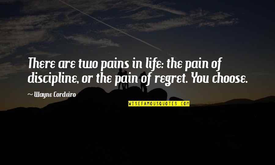 The Pain Of Regret Quotes By Wayne Cordeiro: There are two pains in life: the pain The Pain Of Regret Quotes By Wayne Cordeiro: There are two pains in life: the pain