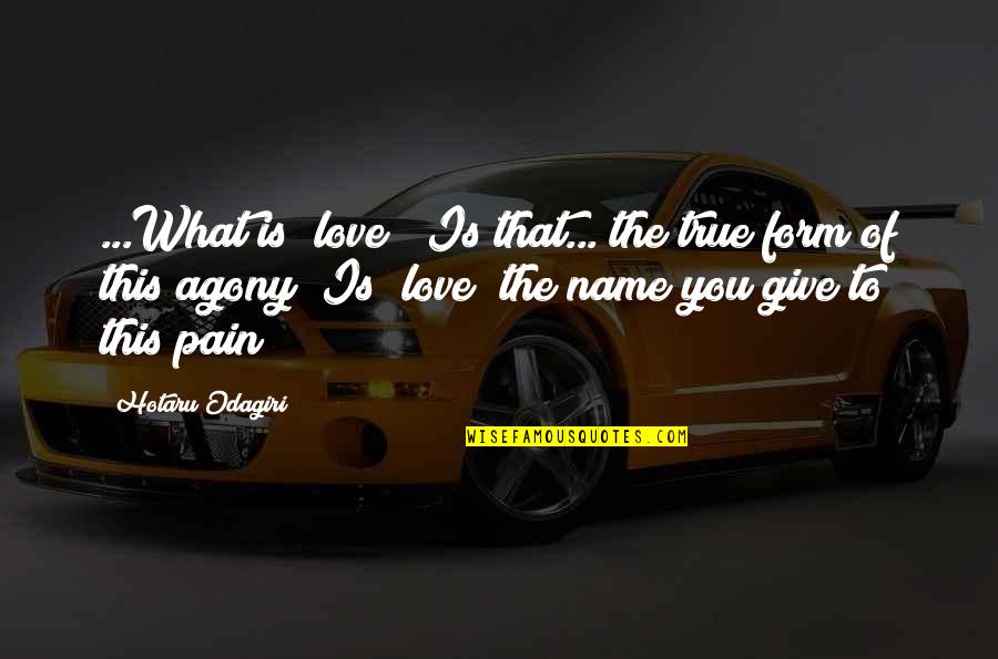 The Pain Of True Love Quotes By Hotaru Odagiri: ...What is "love"? Is that... the true form