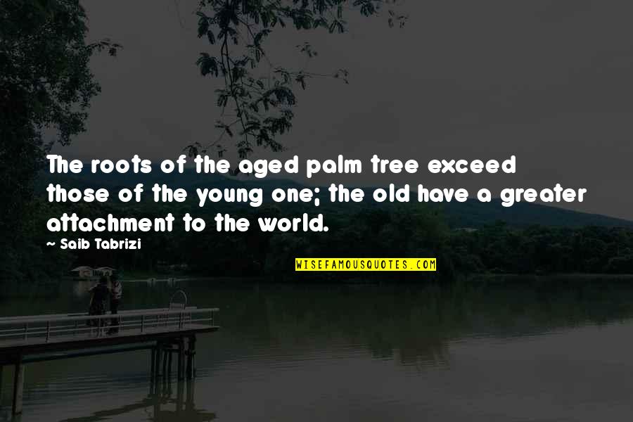 The Palm Tree Quotes By Saib Tabrizi: The roots of the aged palm tree exceed The Palm Tree Quotes By Saib Tabrizi: The roots of the aged palm tree exceed