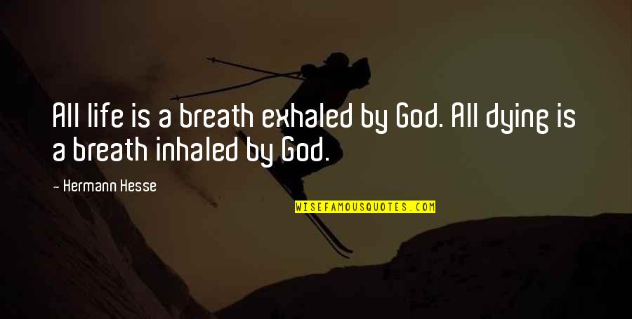 The Pandemic Funny Quotes By Hermann Hesse: All life is a breath exhaled by God.