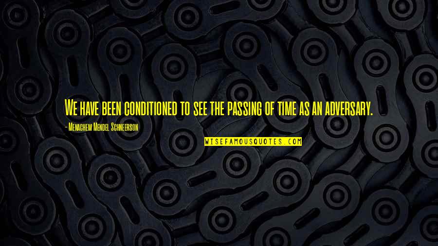 The Passing Of Time Quotes By Menachem Mendel Schneerson: We have been conditioned to see the passing