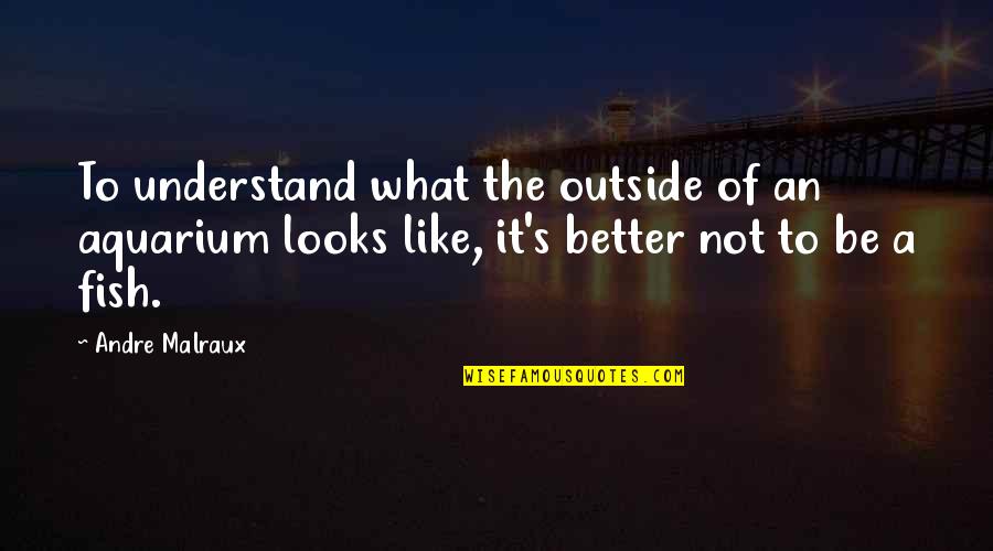 The Passion Of Dance Quotes By Andre Malraux: To understand what the outside of an aquarium The Passion Of Dance Quotes By Andre Malraux: To understand what the outside of an aquarium