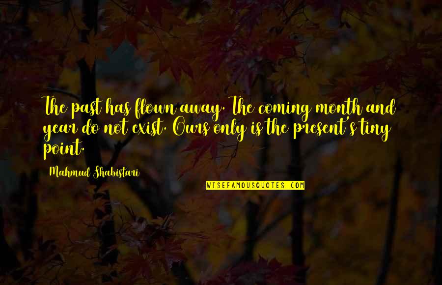 The Past And Present Quotes By Mahmud Shabistari: The past has flown away. The coming month