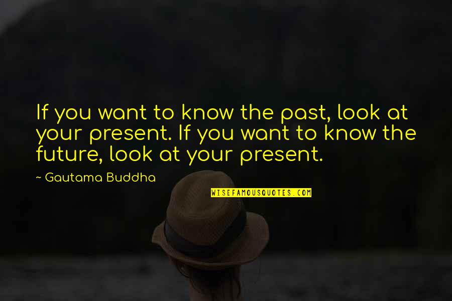 The Past Buddha Quotes By Gautama Buddha: If you want to know the past, look
