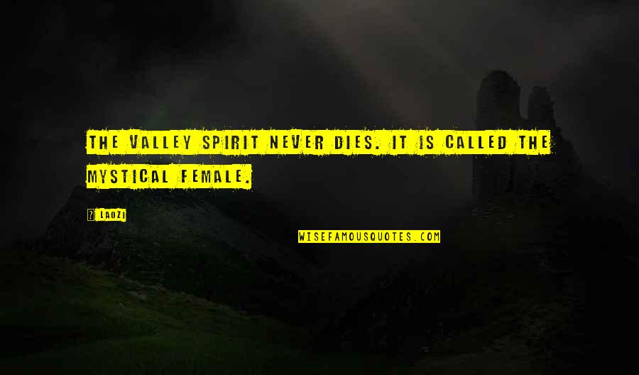 The Past In Beloved Quotes By Laozi: The valley spirit never dies. It is called