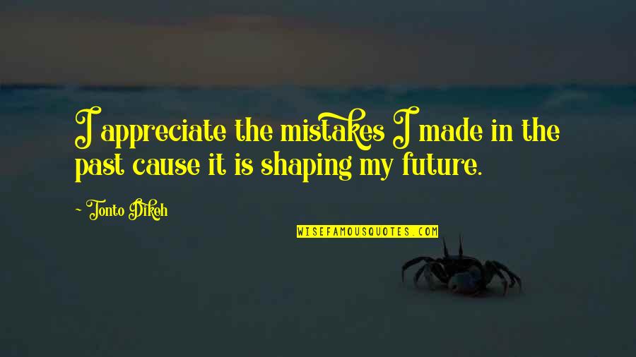 The Past Shaping Our Future Quotes By Tonto Dikeh: I appreciate the mistakes I made in the