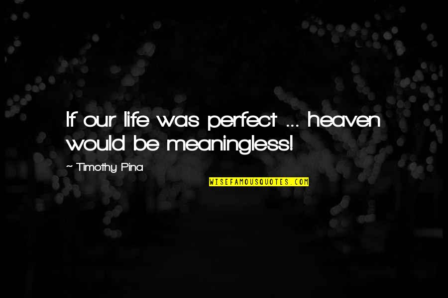 The Peace Panda Quotes By Timothy Pina: If our life was perfect ... heaven would The Peace Panda Quotes By Timothy Pina: If our life was perfect ... heaven would