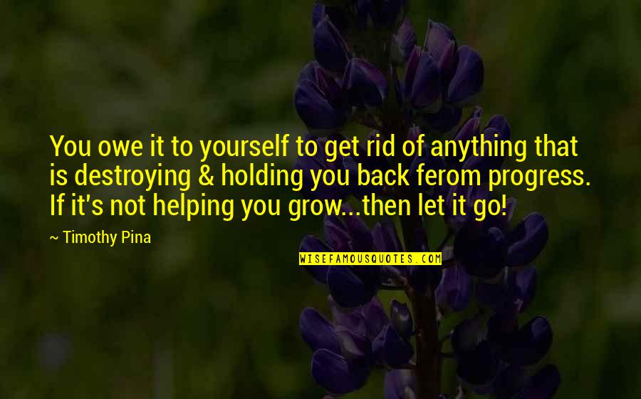 The Peace Panda Quotes By Timothy Pina: You owe it to yourself to get rid The Peace Panda Quotes By Timothy Pina: You owe it to yourself to get rid