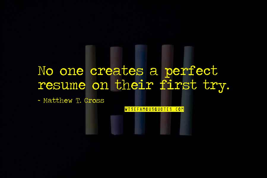The Perfect Job Quotes By Matthew T. Cross: No one creates a perfect resume on their