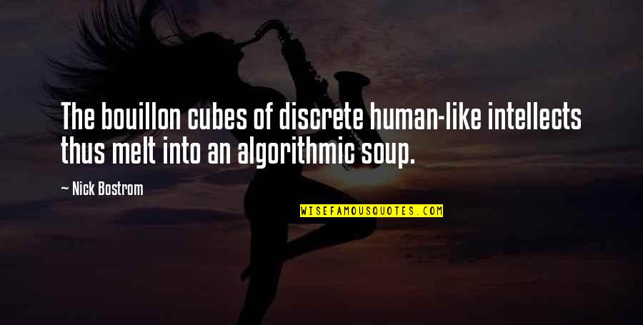 The Perfect Selfie Quotes By Nick Bostrom: The bouillon cubes of discrete human-like intellects thus