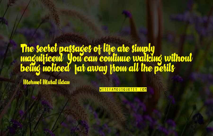 The Perils Of Life Quotes By Mehmet Murat Ildan: The secret passages of life are simply magnificent!