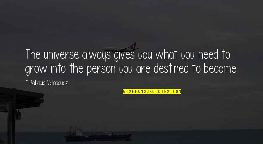 The Person You Need Quotes By Patricia Velasquez: The universe always gives you what you need