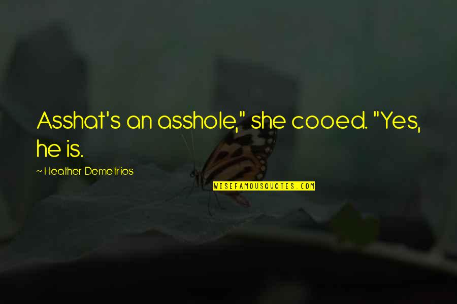 The Personal Essay Quotes By Heather Demetrios: Asshat's an asshole," she cooed. "Yes, he is.
