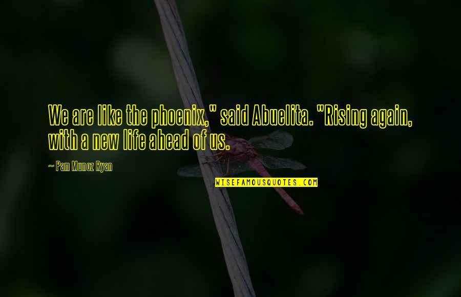The Phoenix Quotes By Pam Munoz Ryan: We are like the phoenix," said Abuelita. "Rising The Phoenix Quotes By Pam Munoz Ryan: We are like the phoenix," said Abuelita. "Rising