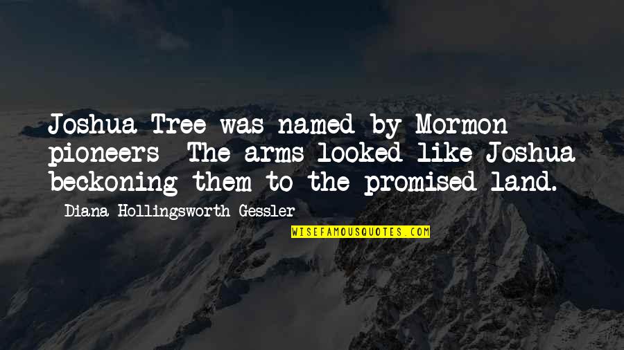 The Pioneers Quotes By Diana Hollingsworth Gessler: Joshua Tree was named by Mormon pioneers- The The Pioneers Quotes By Diana Hollingsworth Gessler: Joshua Tree was named by Mormon pioneers- The