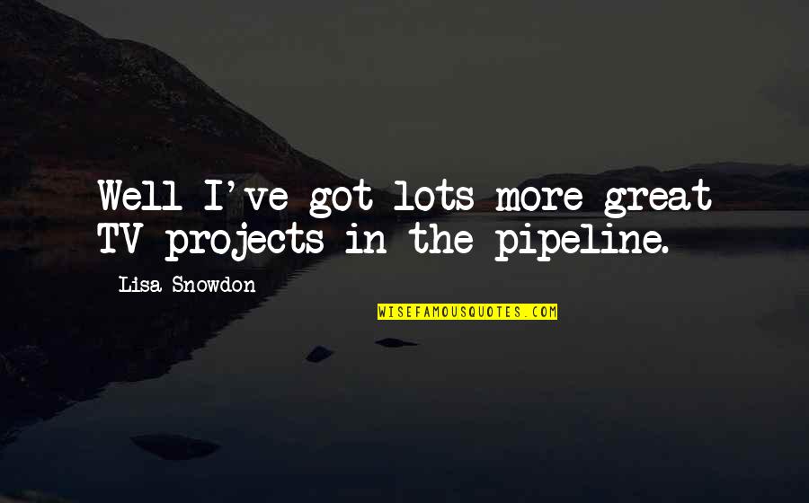 The Pipeline Quotes By Lisa Snowdon: Well I've got lots more great TV projects