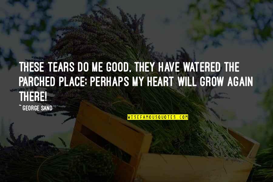 The Place You Grow Up Quotes By George Sand: These tears do me good, they have watered