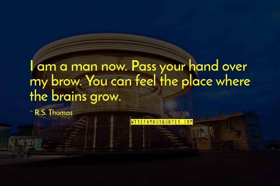 The Place You Grow Up Quotes By R.S. Thomas: I am a man now. Pass your hand