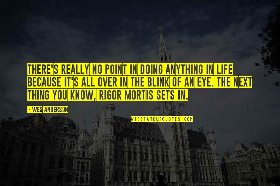 The Point Of Life Quotes By Wes Anderson: There's really no point in doing anything in