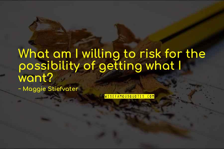 The Possibility Of Quotes By Maggie Stiefvater: What am I willing to risk for the