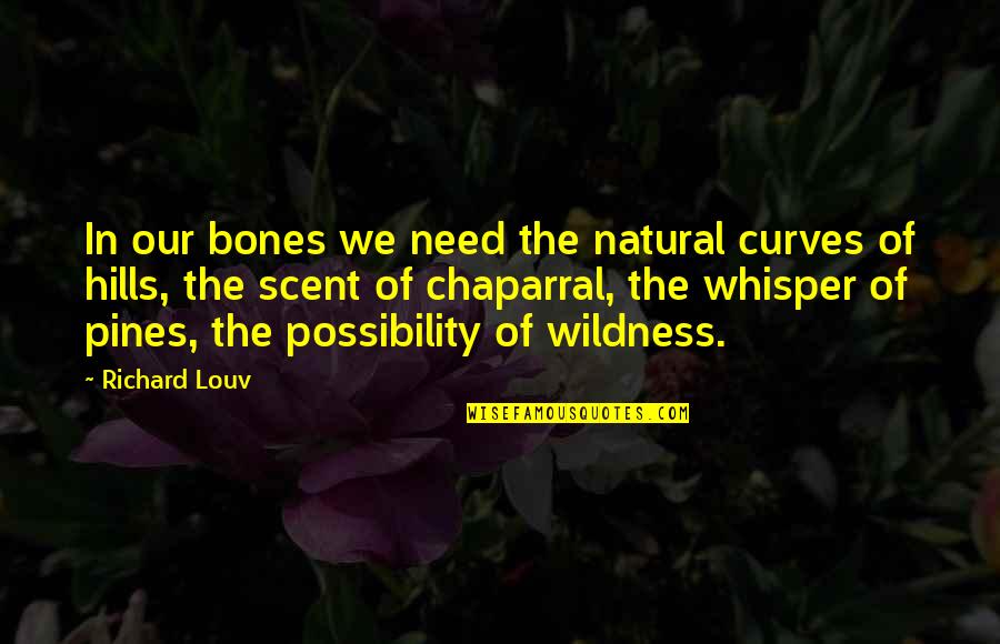 The Possibility Of Quotes By Richard Louv: In our bones we need the natural curves
