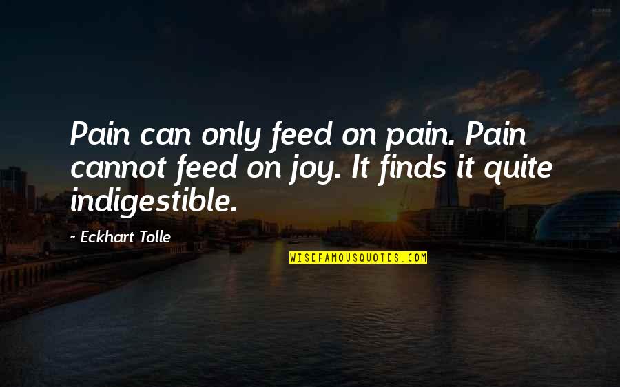 The Power Now Quotes By Eckhart Tolle: Pain can only feed on pain. Pain cannot