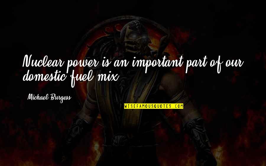 The Power Of Now Important Quotes By Michael Burgess: Nuclear power is an important part of our