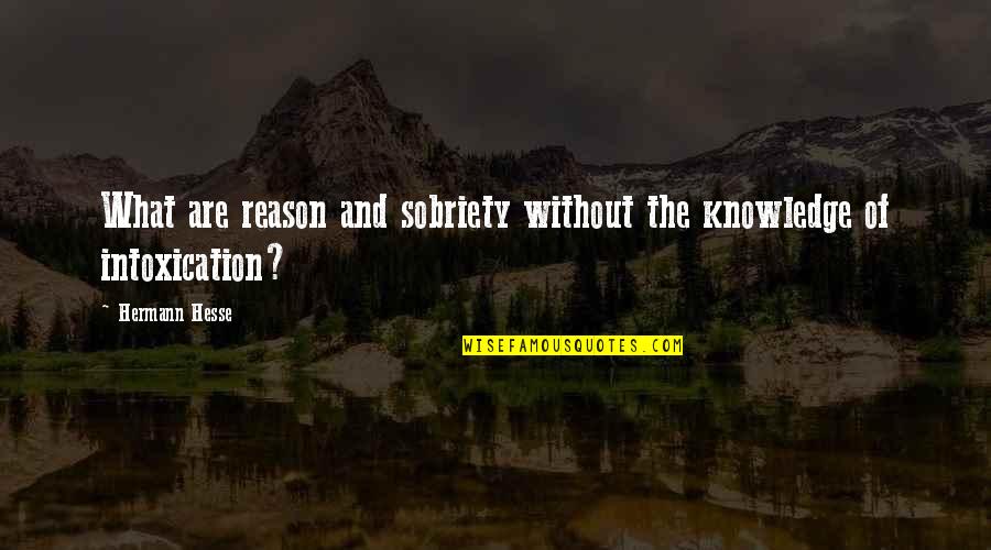 The Power Of One Person Quotes By Hermann Hesse: What are reason and sobriety without the knowledge