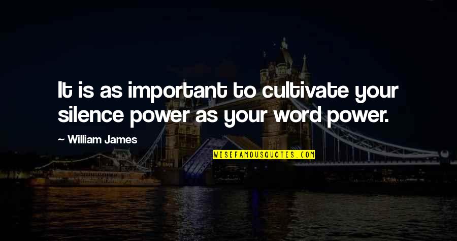 The Power Of Silence Quotes By William James: It is as important to cultivate your silence