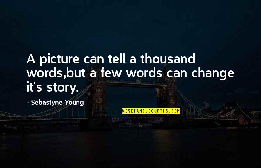 The Power Of Story Quotes By Sebastyne Young: A picture can tell a thousand words,but a