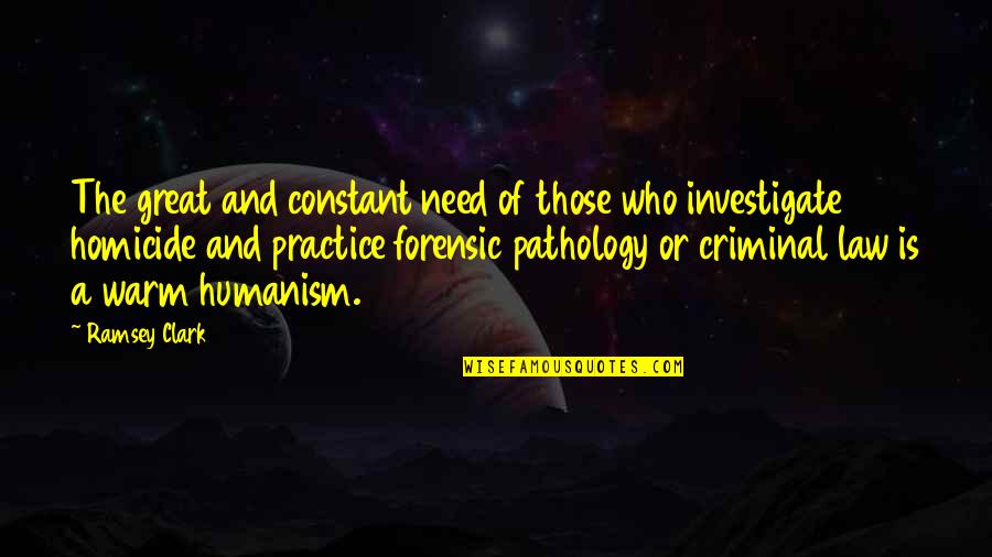 The Practice Of Law Quotes By Ramsey Clark: The great and constant need of those who