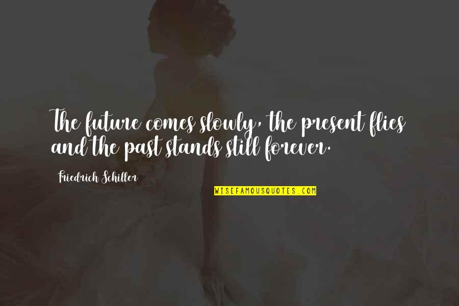 The Present Past And Future Quotes By Friedrich Schiller: The future comes slowly, the present flies and