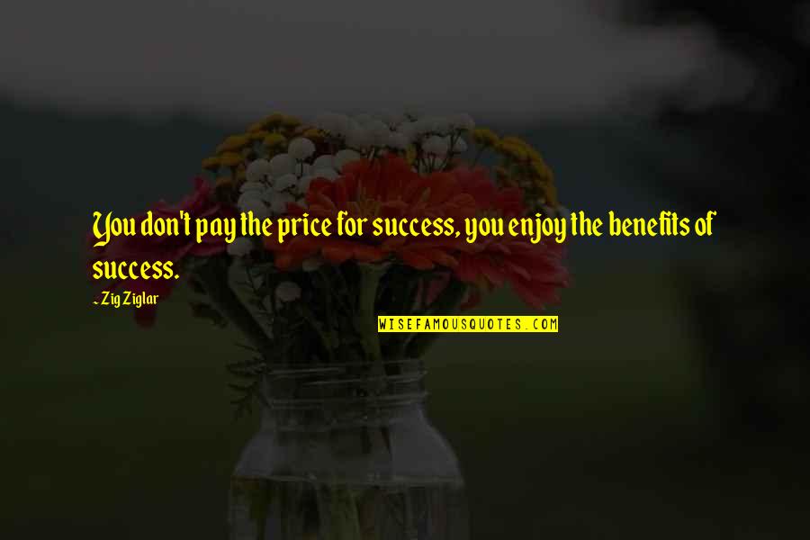 The Price Of Success Quotes By Zig Ziglar: You don't pay the price for success, you
