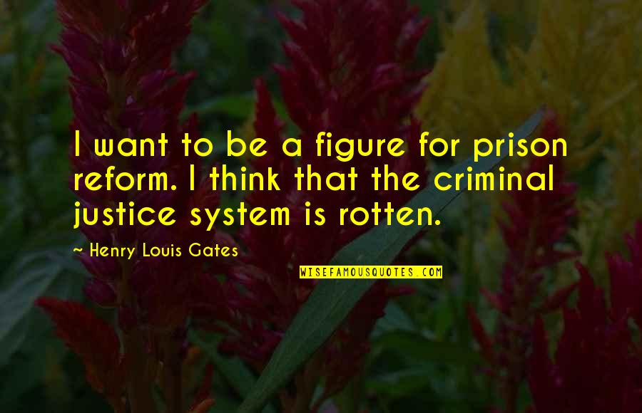 The Prison System Quotes By Henry Louis Gates: I want to be a figure for prison