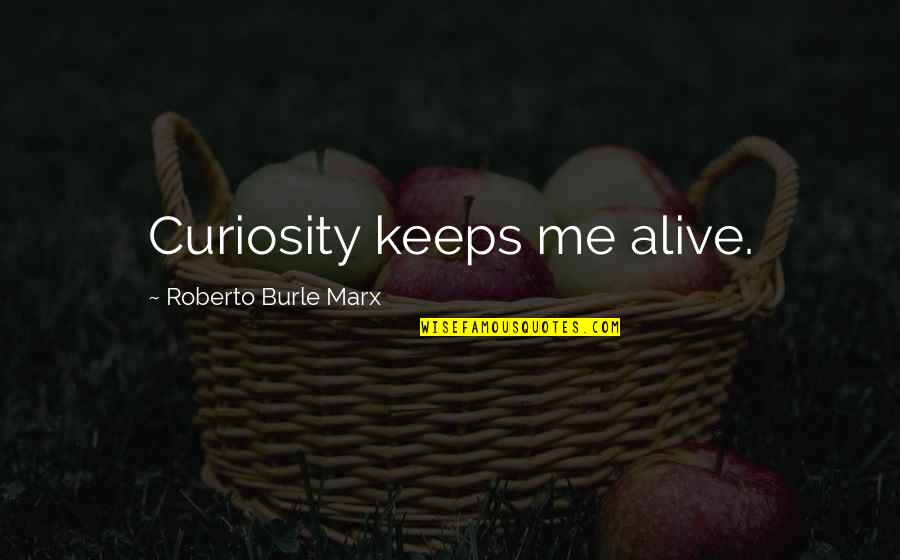 The Prize Daniel Yergin Quotes By Roberto Burle Marx: Curiosity keeps me alive.