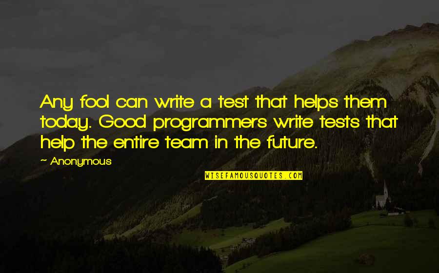 The Programmers Quotes By Anonymous: Any fool can write a test that helps