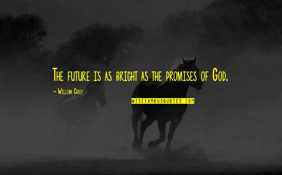 The Promises Of God Quotes By William Carey: The future is as bright as the promises