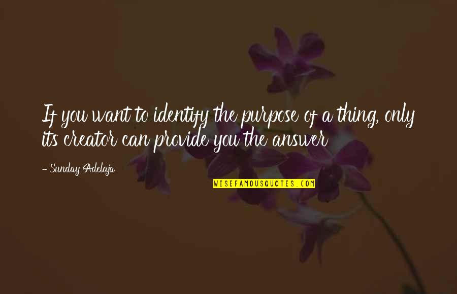 The Provision Of God Quotes By Sunday Adelaja: If you want to identify the purpose of