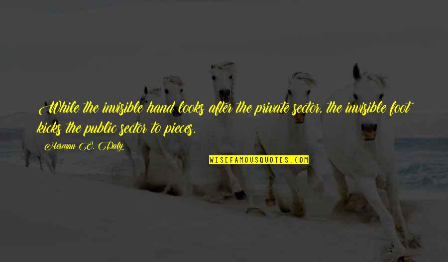 The Public Sector Quotes By Herman E. Daly: While the invisible hand looks after the private The Public Sector Quotes By Herman E. Daly: While the invisible hand looks after the private