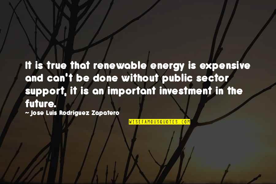 The Public Sector Quotes By Jose Luis Rodriguez Zapatero: It is true that renewable energy is expensive The Public Sector Quotes By Jose Luis Rodriguez Zapatero: It is true that renewable energy is expensive