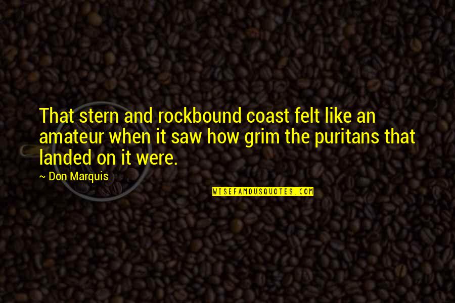 The Puritans Quotes By Don Marquis: That stern and rockbound coast felt like an
